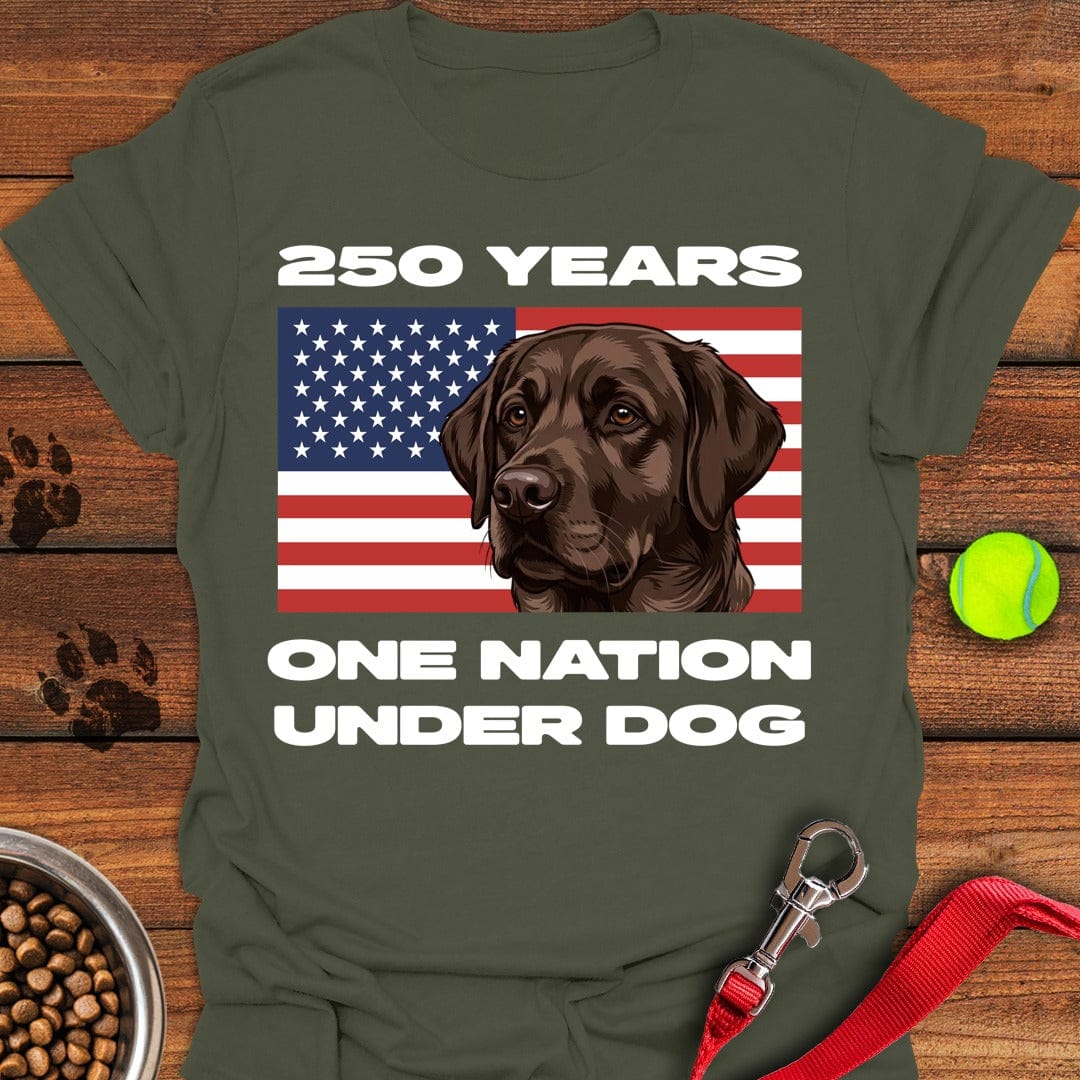 250 Years USA Chocolate Lab T-Shirt Lovely Dog Clothing Mothers Day Gift For Friends