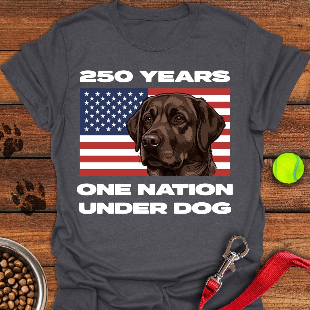 250 Years USA Chocolate Lab T-Shirt Lovely Dog Clothing Mothers Day Gift For Friends