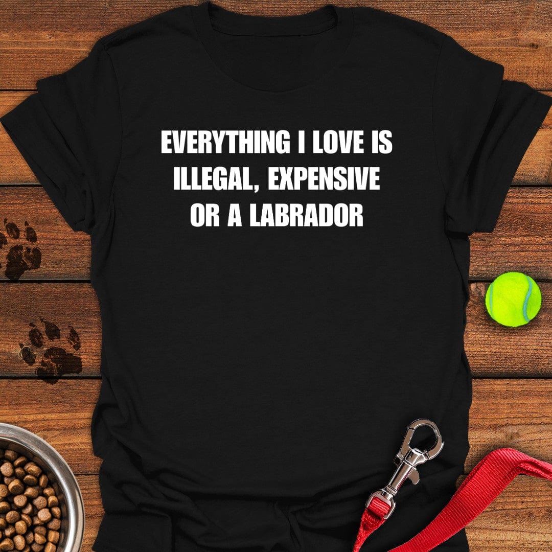 Everything I Love Labrador T-Shirt Chill Dog Clothing Unique Dog Gifts For Owners