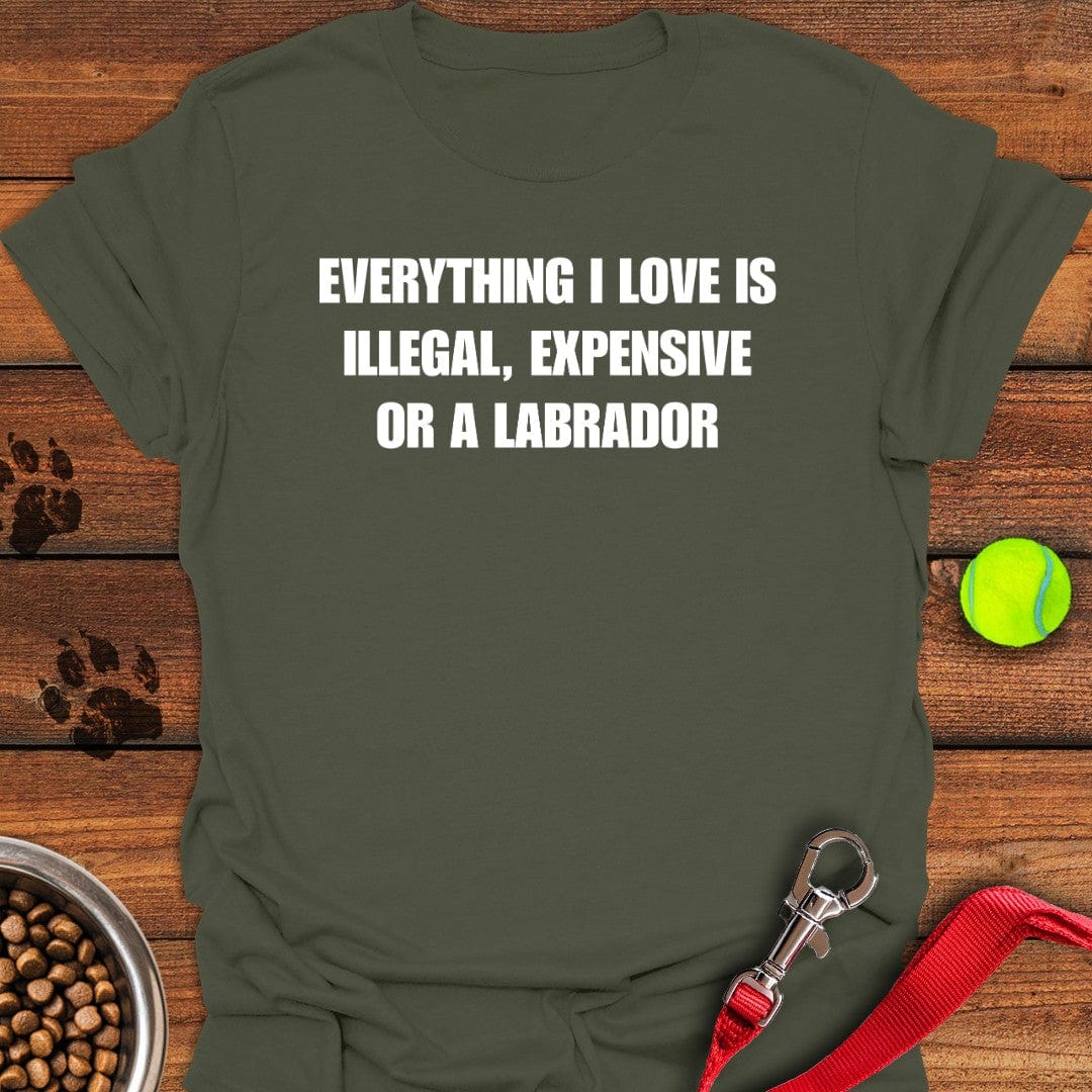 Everything I Love Labrador T-Shirt Chill Dog Clothing Unique Dog Gifts For Owners