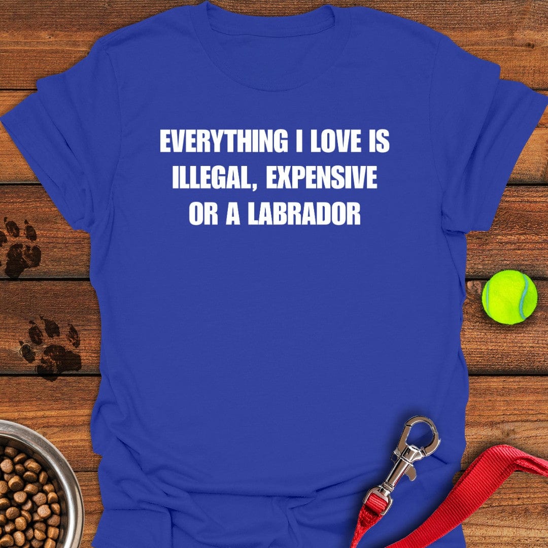 Everything I Love Labrador T-Shirt Chill Dog Clothing Unique Dog Gifts For Owners