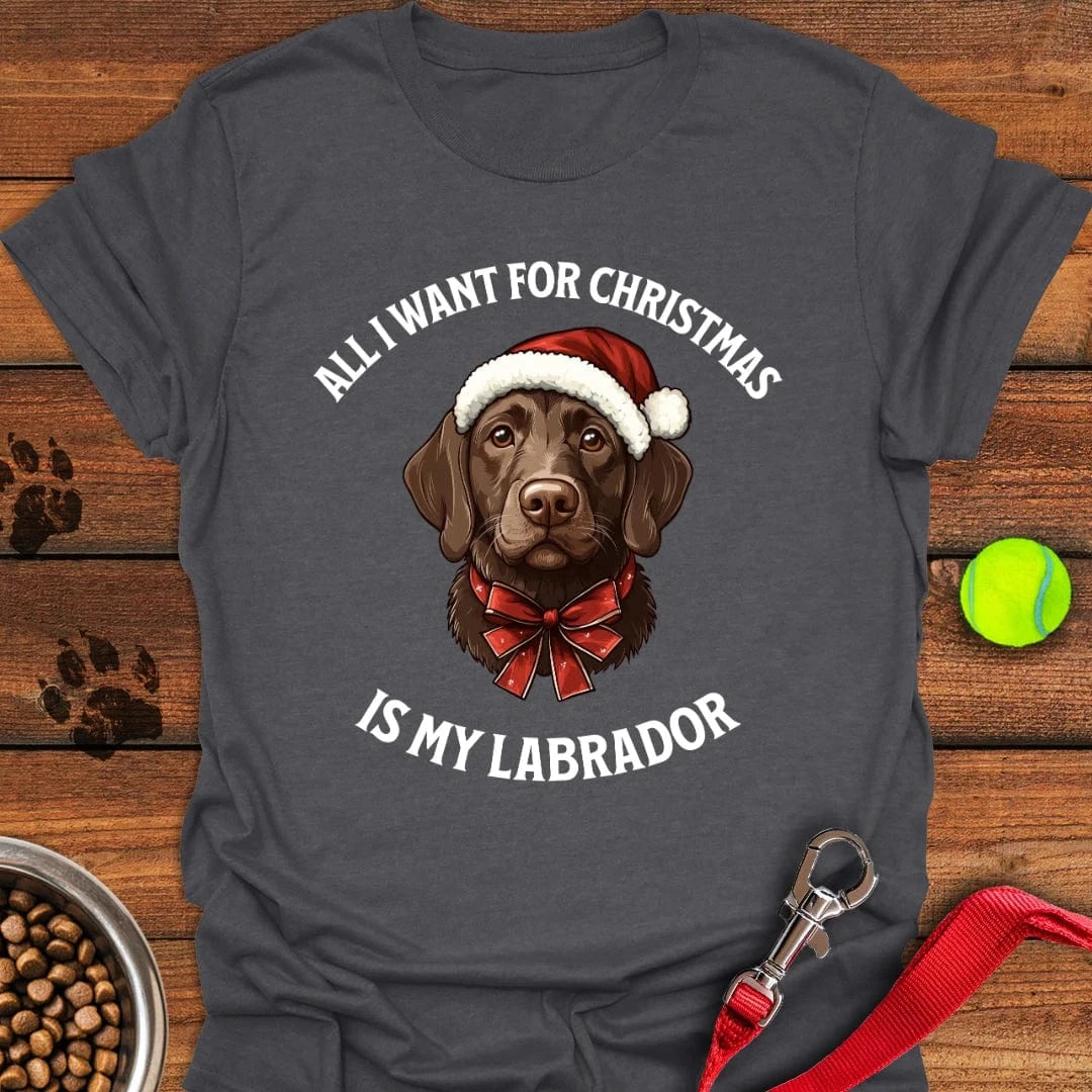 Funny Labrador Christmas Labrador T-Shirt Fluffy Dog Clothing Special Mothers Day Presents