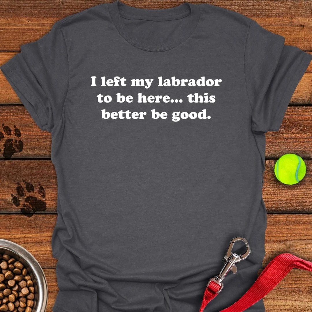 I Left My Labrador To Be Here T-Shirt Silly Dog Clothes Great Gifts For Dog Owners