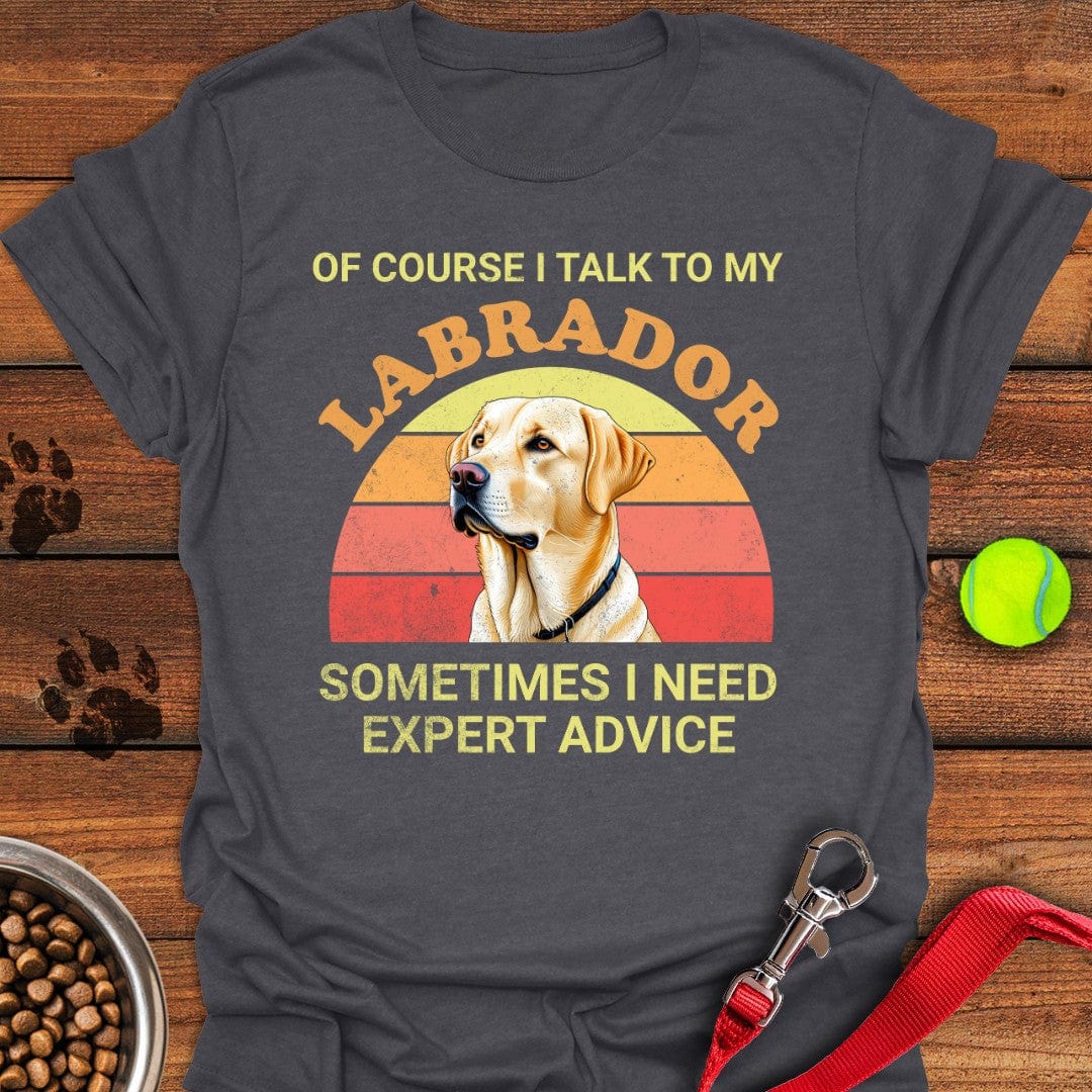 I Talk To My Labrador T-Shirt Lazy Dog Clothing Great Gifts For Dog Owners
