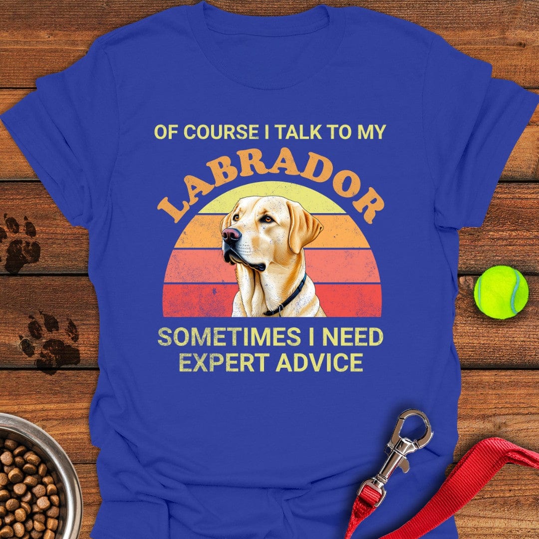 I Talk To My Labrador T-Shirt Lazy Dog Clothing Great Gifts For Dog Owners