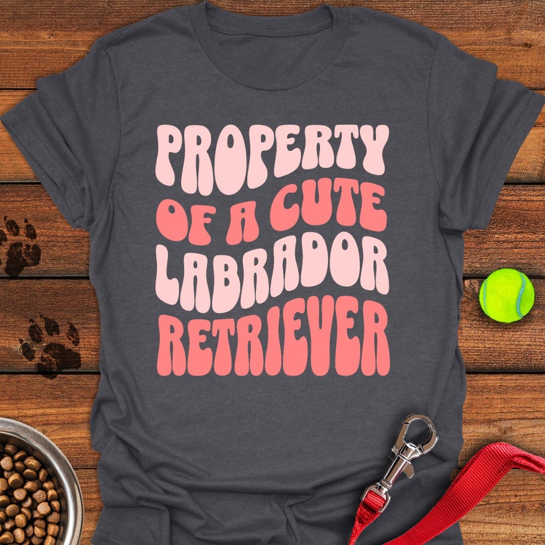 Property of a Cute Labrador T-Shirt Sleepy Dog Apparel Good Gifts For New Dog Owners