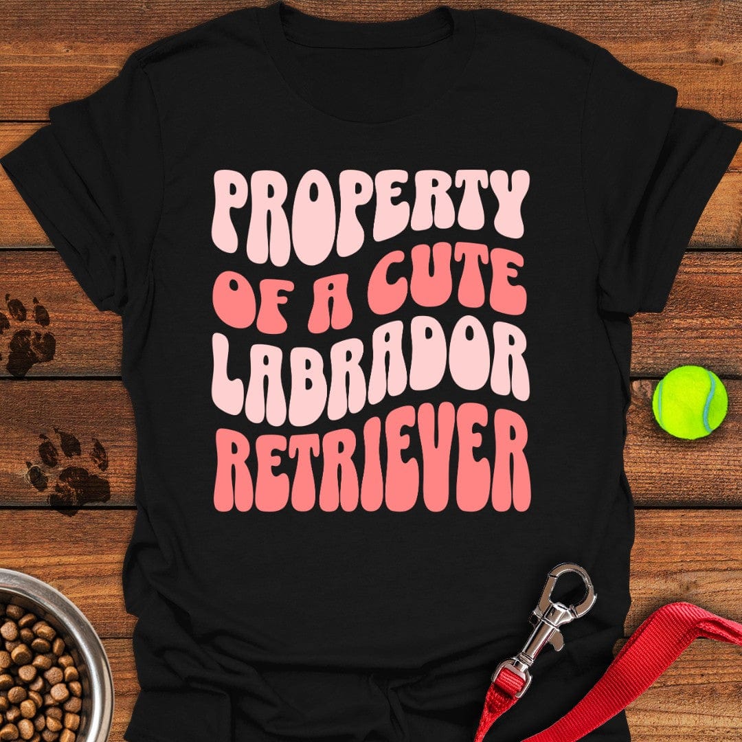 Property of a Cute Labrador T-Shirt Sleepy Dog Apparel Good Gifts For New Dog Owners
