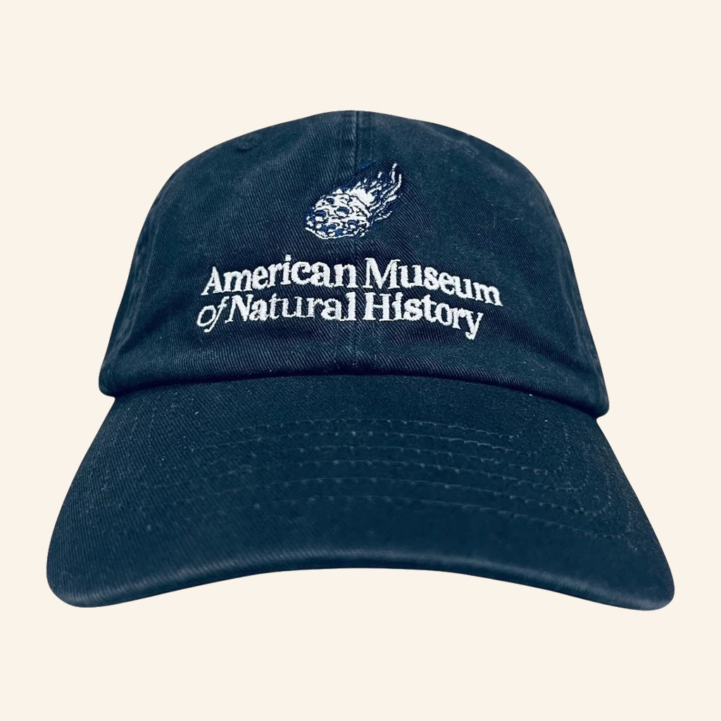 American Museum Of Natural History Merch 2026 Asteroid Hat Embroidered Gifts For Dad - Petshi