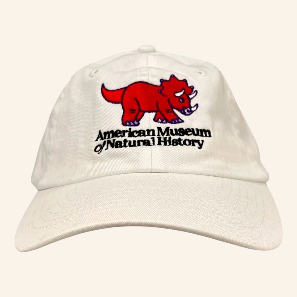 American Museum Of Natural History Merch 2026 Dino Cutie Hat Embroidered Gifts For Friends - Petshi
