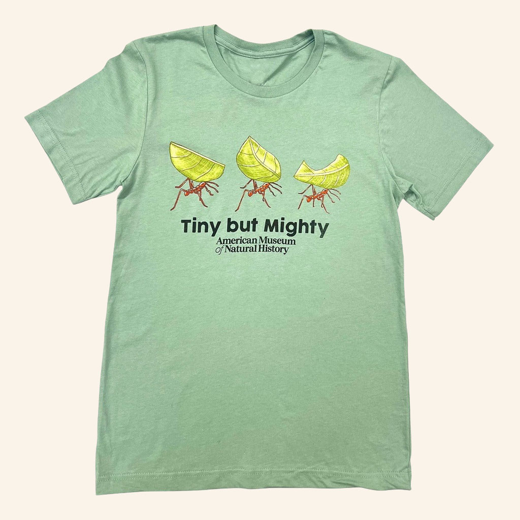 American Museum Of Natural History Merch 2026 Tiny But Mighty Ants Shirt Nature Lover Gifts - Petshi