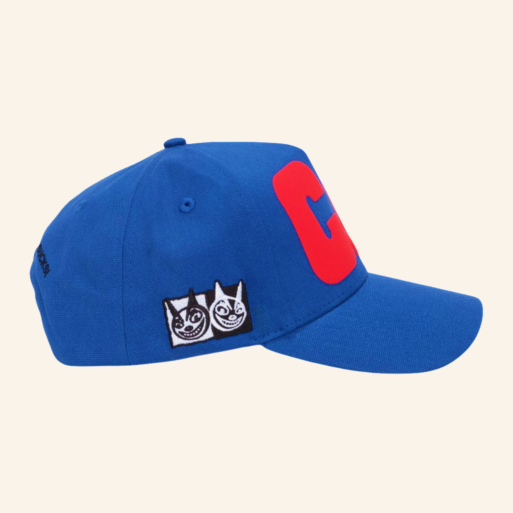 Carpet Company Merch CC Sucks Hat Best Birthday Gift For Husband - Petshi
