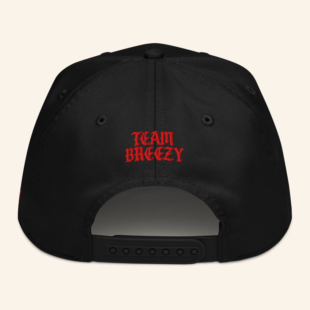 Chris Brown Merch 2026 Fallin Hat Embroidered Team Breezy Cap Gifts For Music Lovers - Petshi
