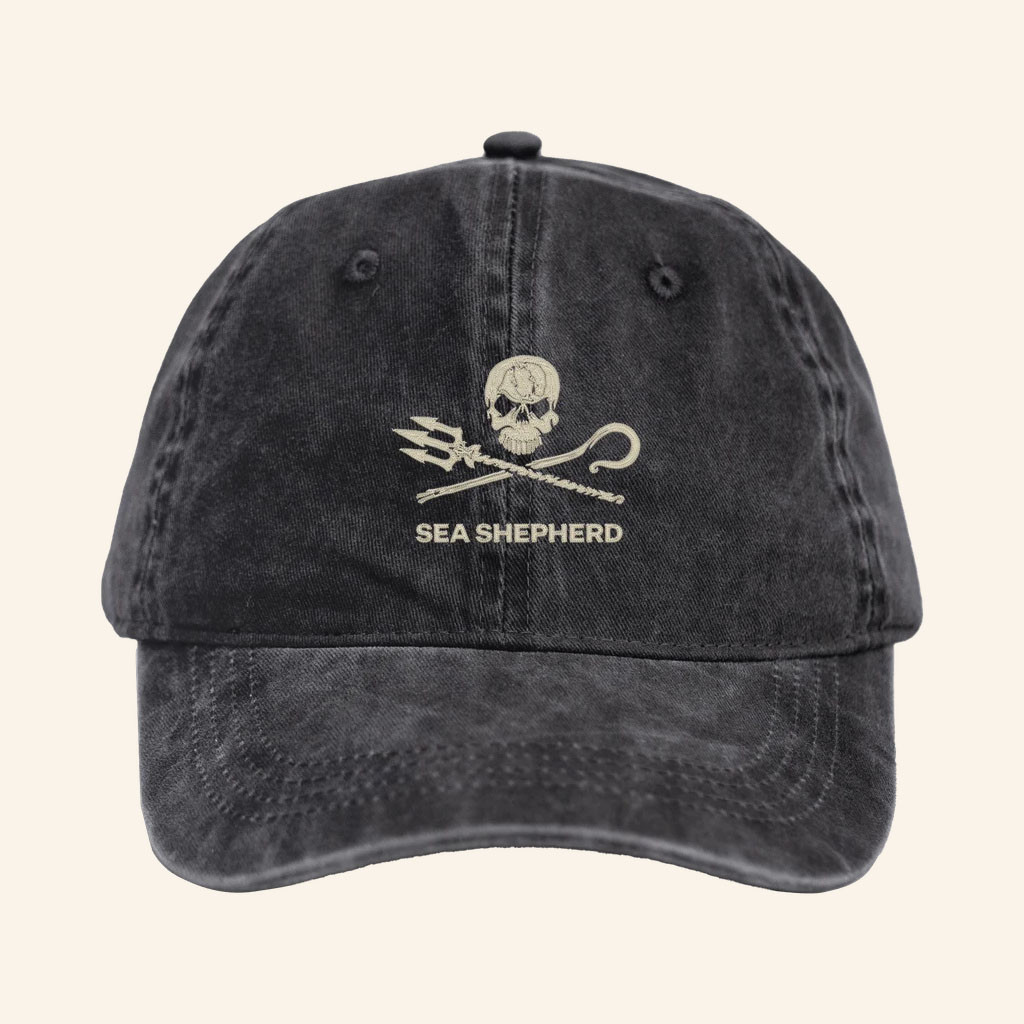 Sea Shepherd Merch 2026 Sea Shepherd Jolly Roger Logo Hat Present For Ocean Lovers - Petshi