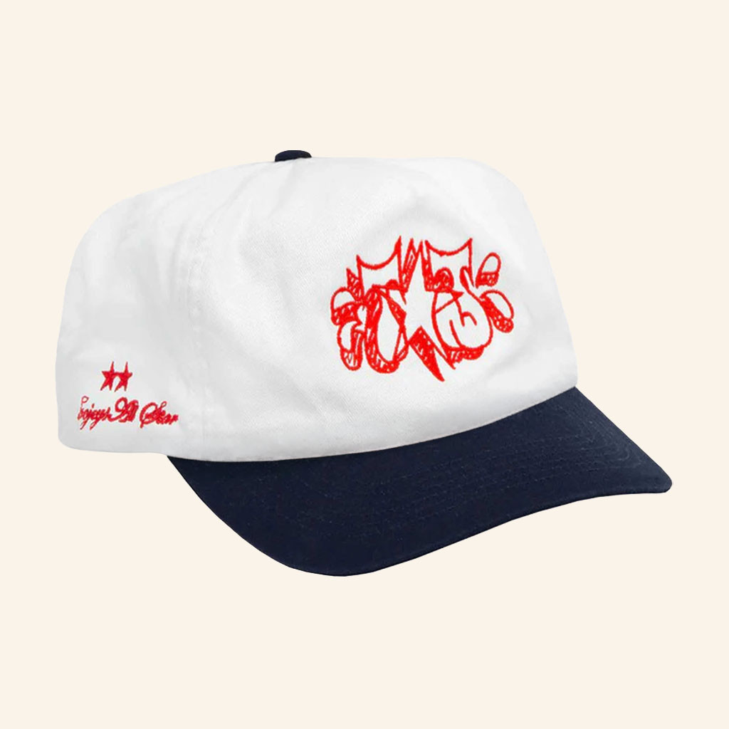 Twojeys Merch 2026 Alley Cat Hat Embroidered Two Tone Gifts Ideas For Besties - Petshi